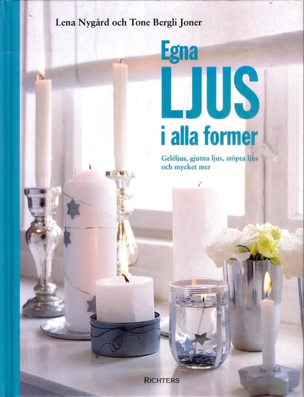 Egna Ljus I Alla Former (Bok)