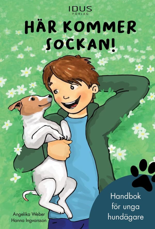 Här Kommer Sockan! (Bok)