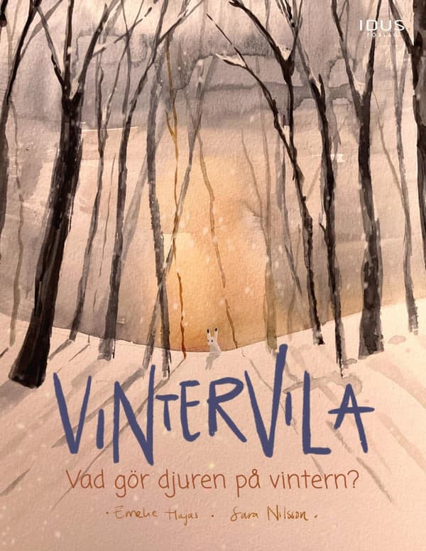Vintervila - Vad Gör Djuren På Vintern? (Bok)