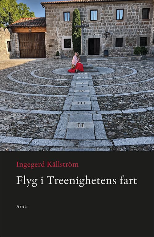 Flyg I Treenighetens Fart (Bok)