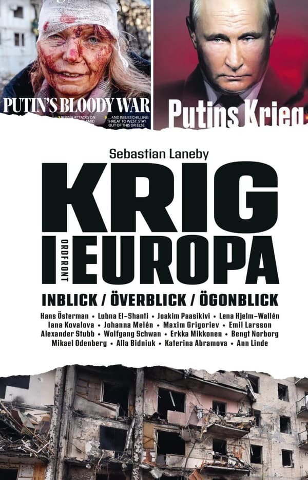 Krig I Europa - Inblick, Överblick, Ögonblick (Bok)