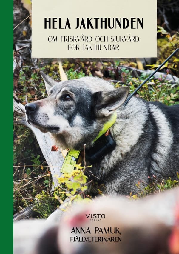 Hela Jakthunden - Om Friskvård Och Sjukvård För Jakthundar (Bok)