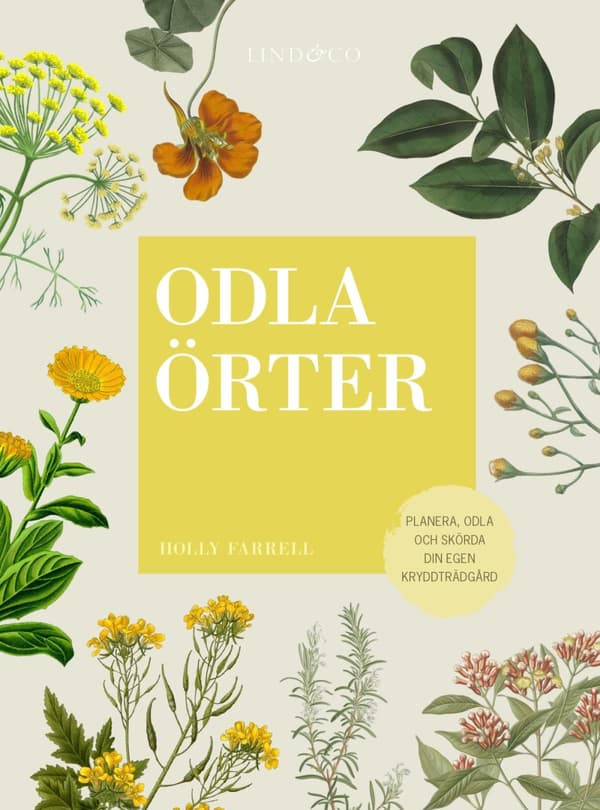 Odla Örter - Planera, Odla Och Skörda  Din Egen Kryddträdgård (Bok)