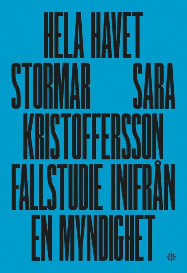 Hela Havet Stormar - Fallstudie Inifrån En Myndighet (Bok)