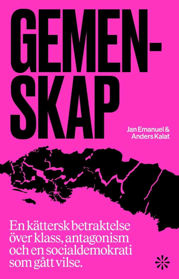Gemenskap - En Kättersk Betraktelse Över Klass, Antagonism Och En Socialdemokrati Som Gått Vilse (Bok)