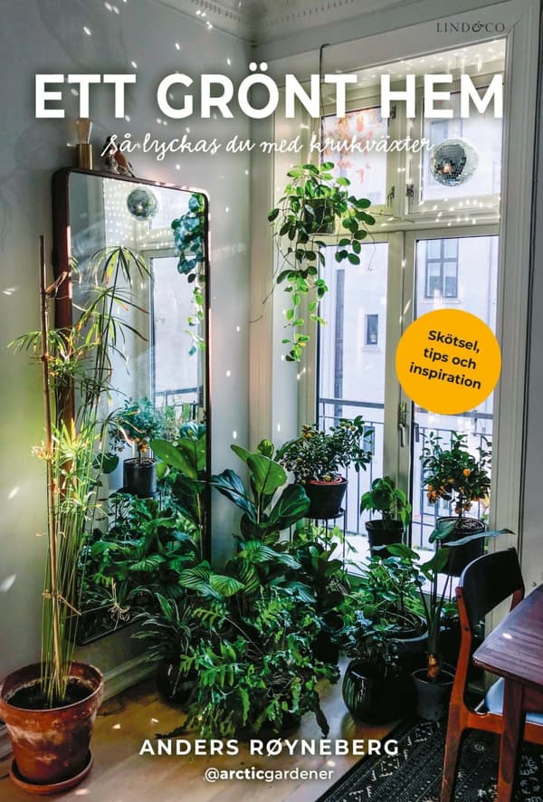 Ett Grönt Hem - Så Lyckas Du Med Krukväxter (Bok)
