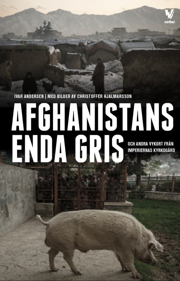 Afghanistans Enda Gris - Och Andra Vykort Från Imperiernas Kyrkogård (Bok)