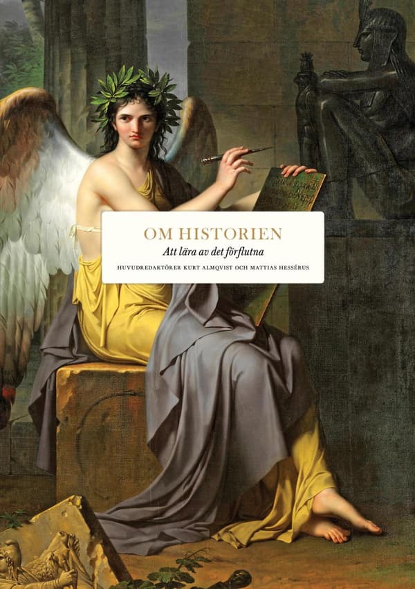 Om Historien - Att Lära Av Det Förflutna (Bok)