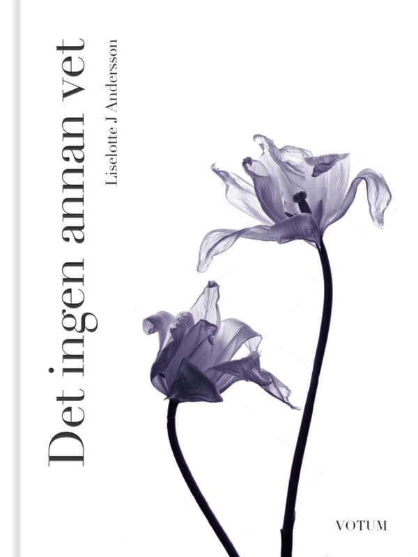 Det Ingen Annan Vet (Bok)