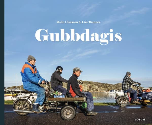 Gubbdagis (Bok)