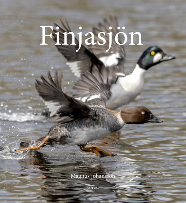 Finjasjön (Bok)