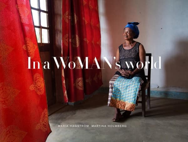 In A Woman's World (Bok)