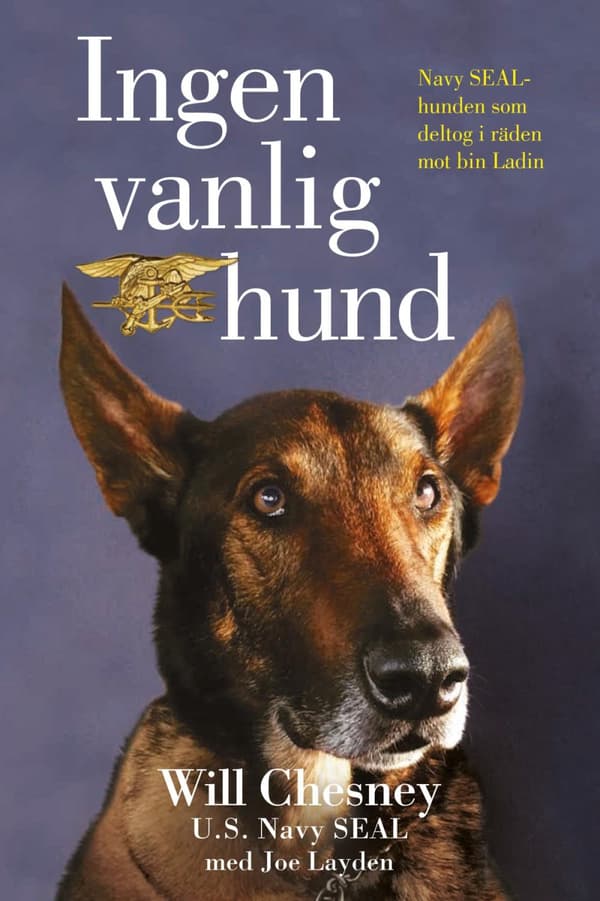 Ingen Vanlig Hund (Bok)