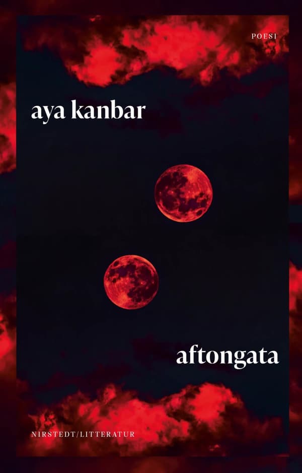 Aftongata (Bok)