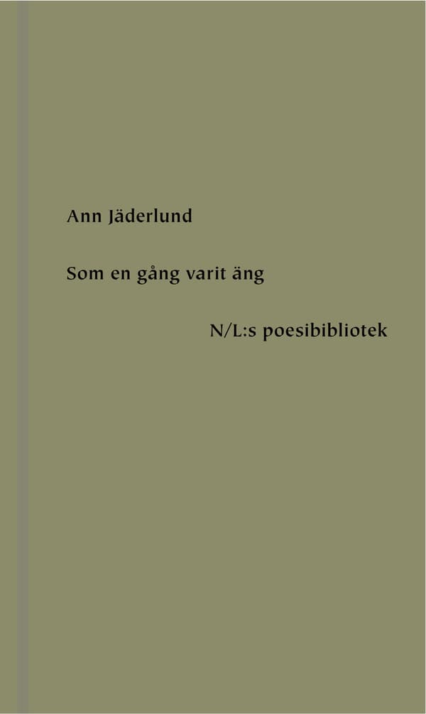 Som En Gång Varit Äng (Bok)
