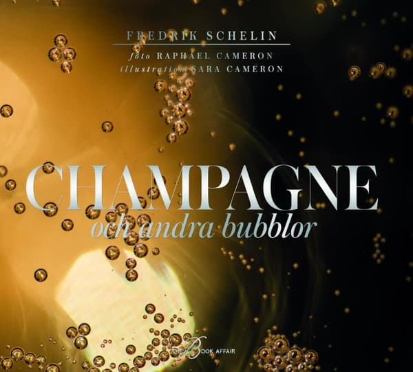 Champagne Och Andra Bubblor (Bok)
