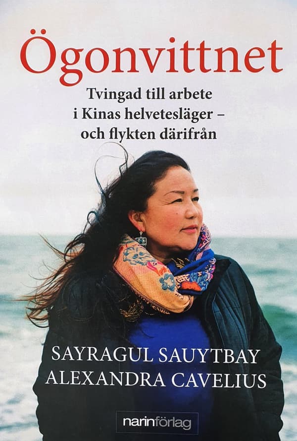 Ögonvittnet (Bok)