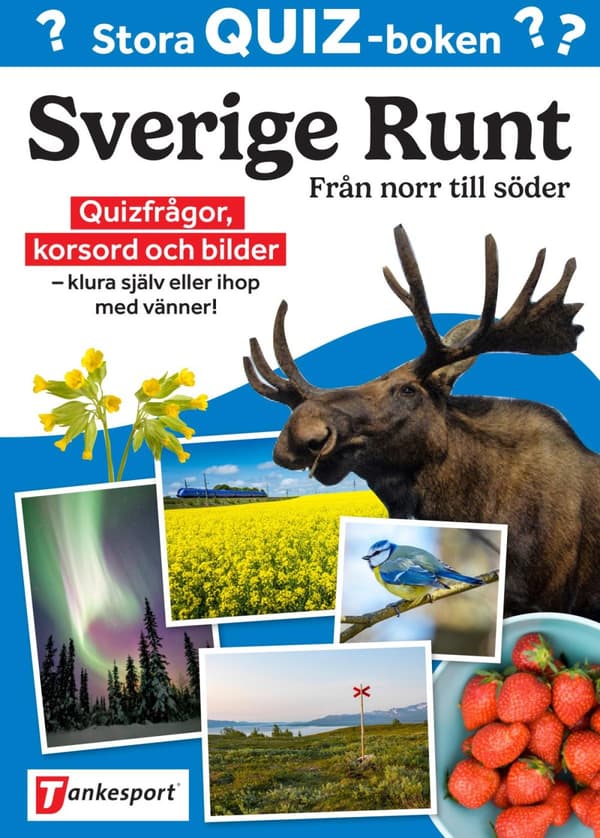 Stora Quizboken Sverige Runt - Från Norr Till Söder (Bok)