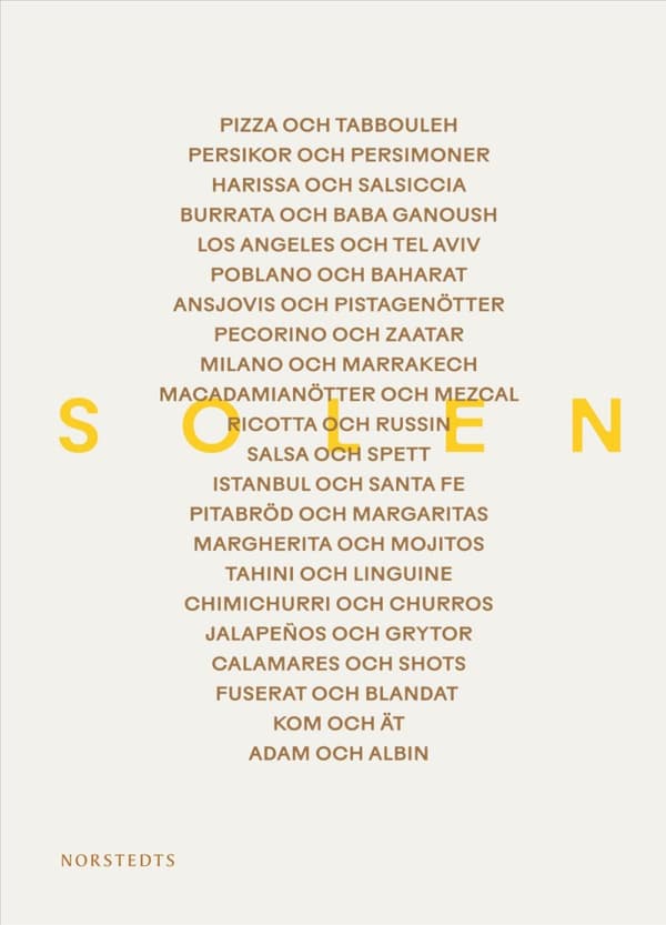 Solen (Bok)