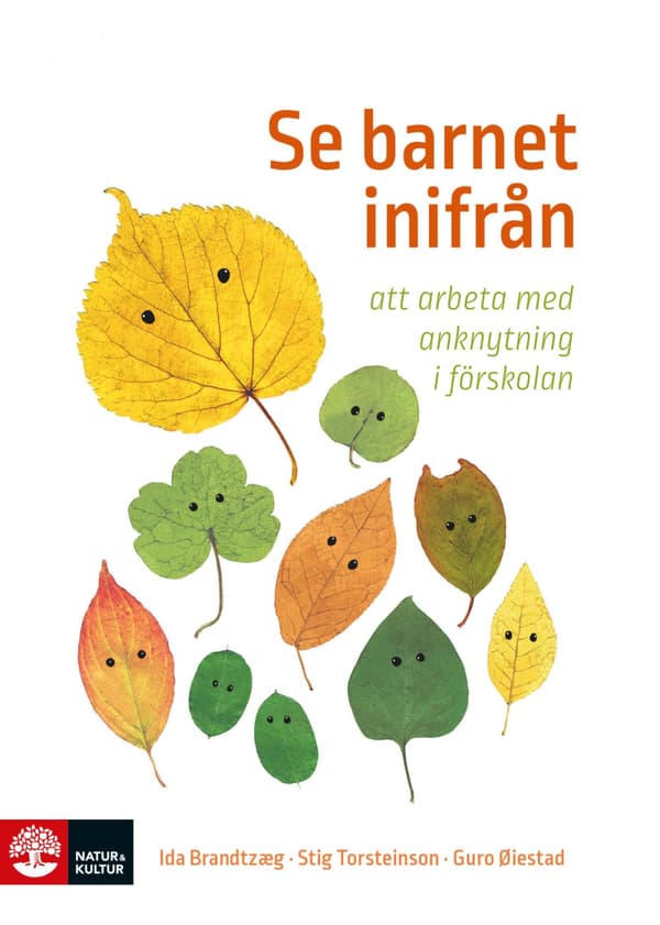 Se Barnet Inifrån - Att Arbeta Med Anknytning I Förskolan (Bok)