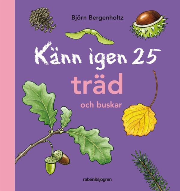 Känn Igen 25 Träd Och Buskar (Bok)