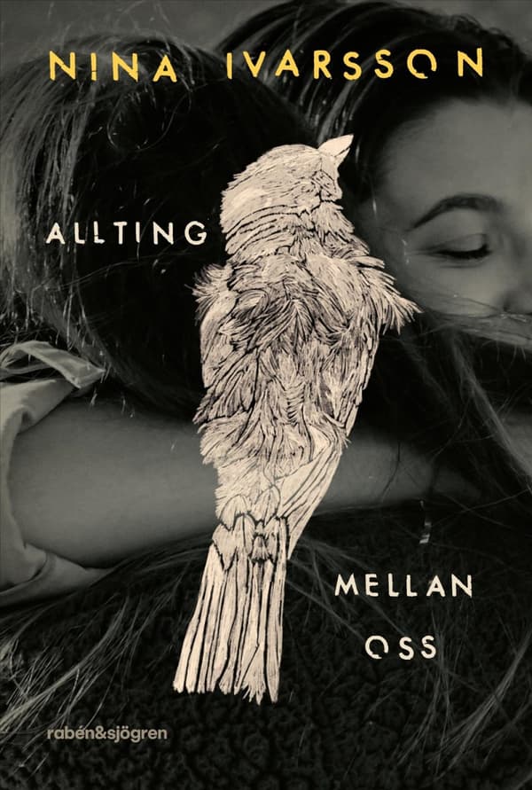 Allting Mellan Oss (Bok)