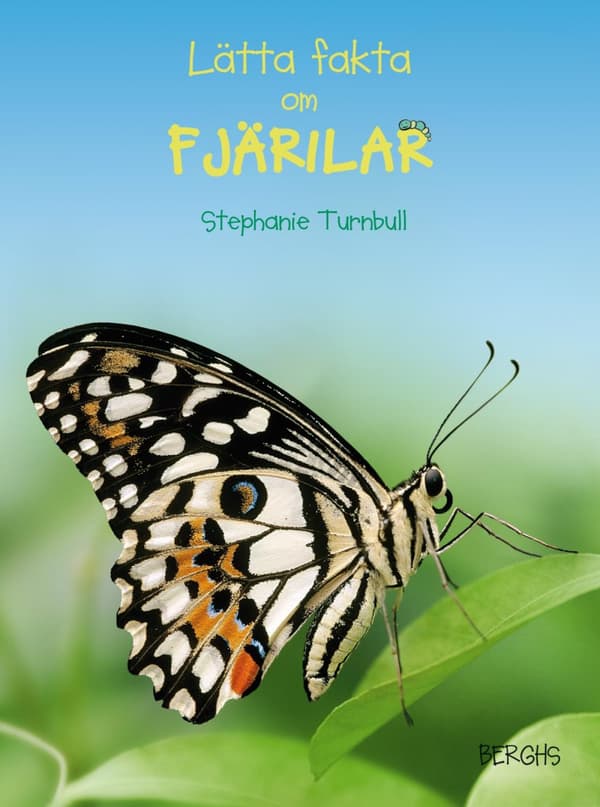 Lätta Fakta Om Fjärilar (Bok)