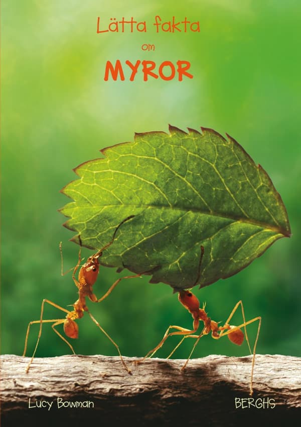 Lätta Fakta Om Myror (Bok)