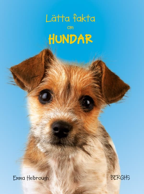 Lätta Fakta Om Hundar (Bok)