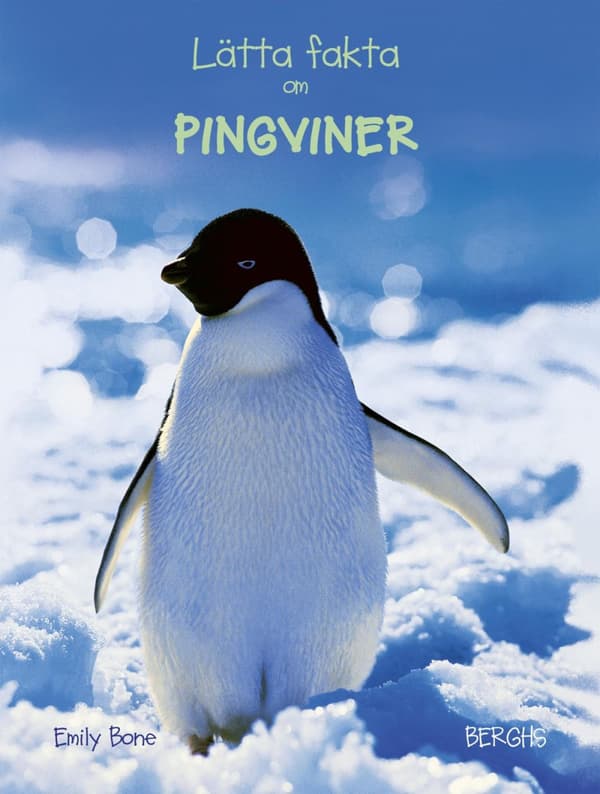 Lätta Fakta Om Pingviner (Bok)