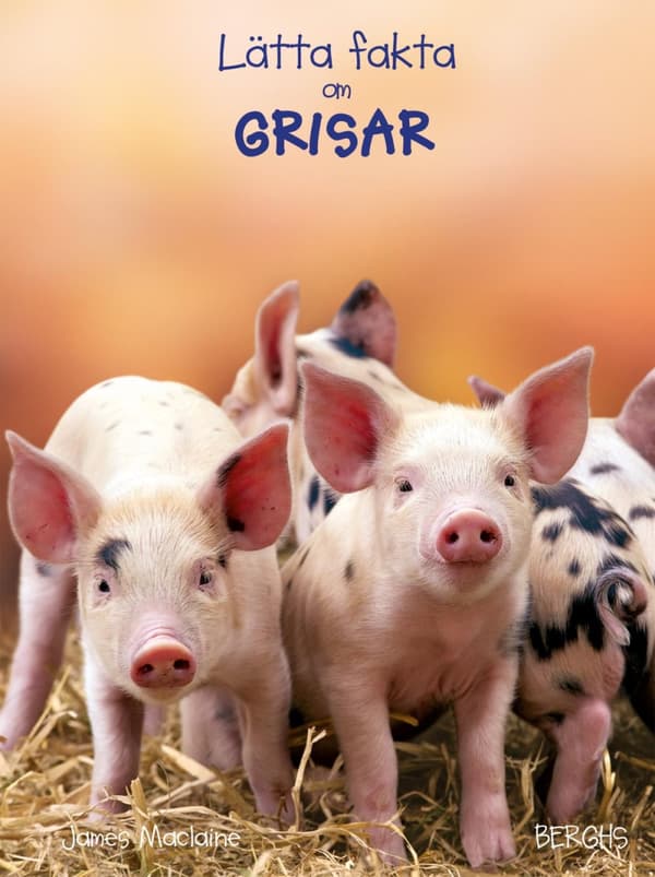 Lätta Fakta Om Grisar (Bok)