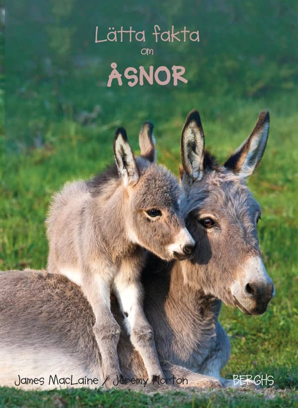 Lätta Fakta Om Åsnor (Bok)