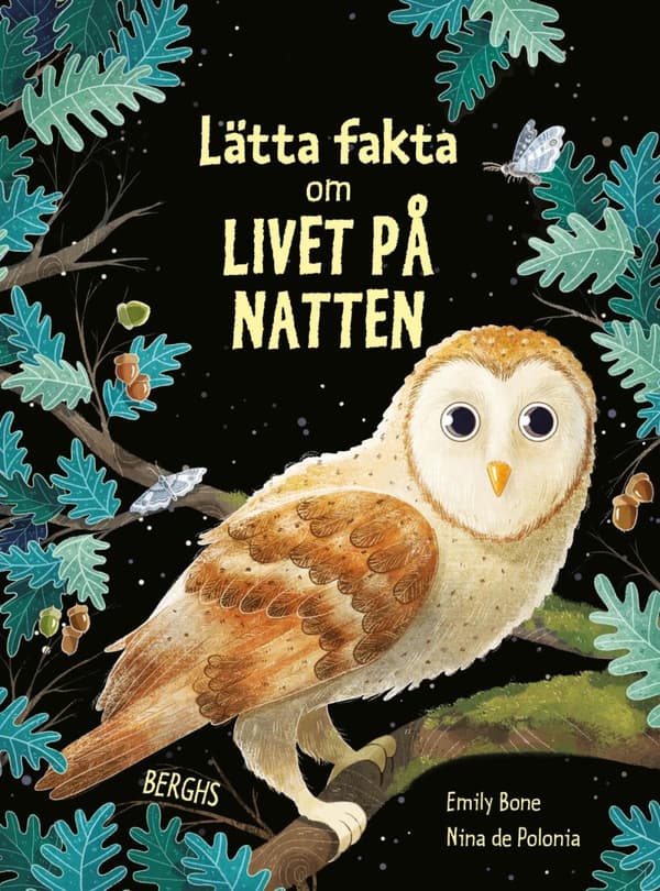 Lätta Fakta Om Livet På Natten (Bok)