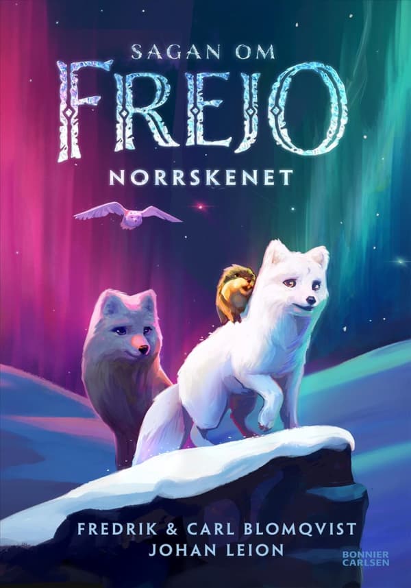 Norrskenet (Bok)