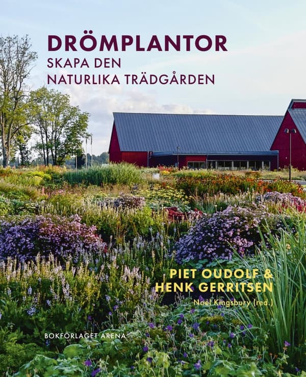 Drömplantor - Skapa Den Naturlika Trädgården (Bok)