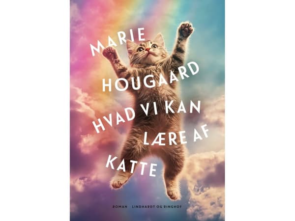 Hvad vi kan lære af katte | Marie Hougaard