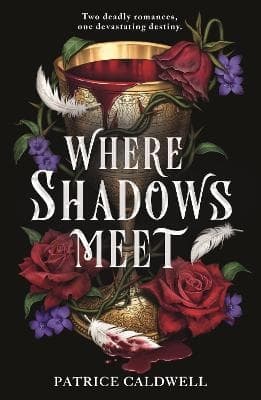 Where Shadows Meet (Bok)