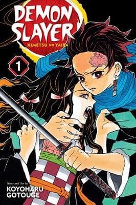 Demon Slayer- Kimetsu No Yaiba, Vol. 1 (Bok)