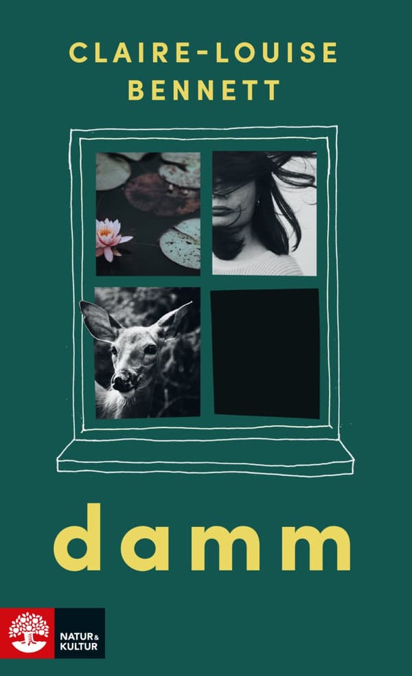 Damm (Bok)