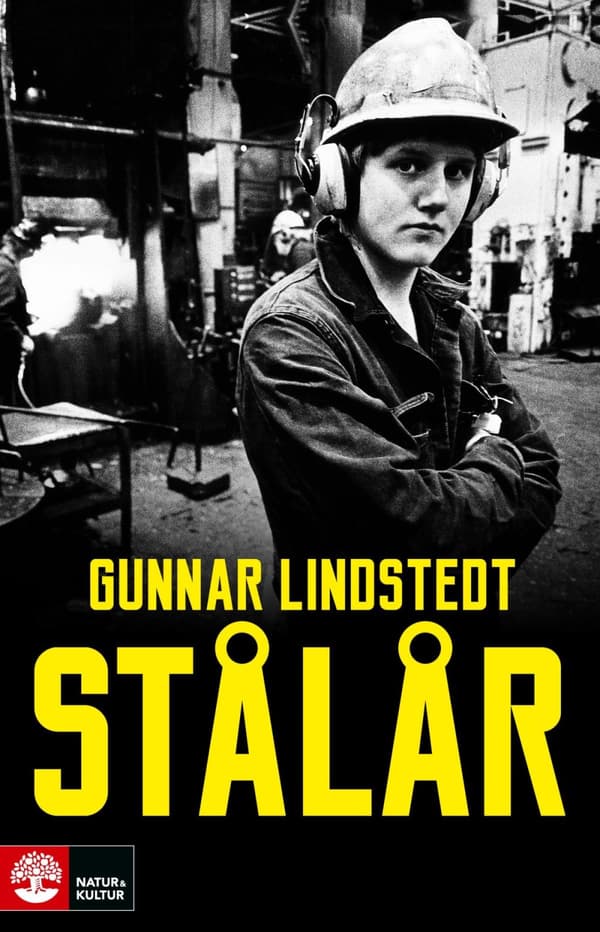 Stålår (Bok)