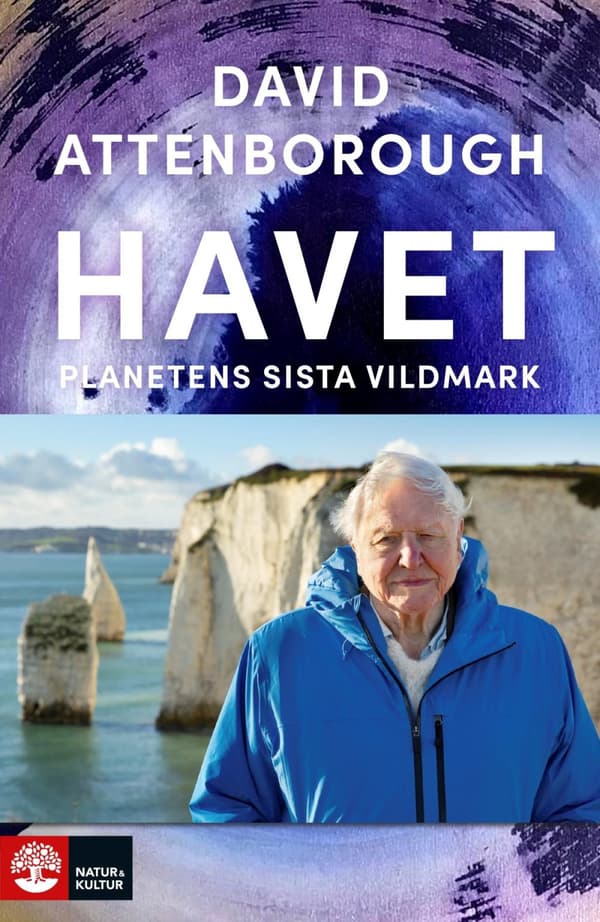 Havet - Planetens Sista Vildmark (Bok)