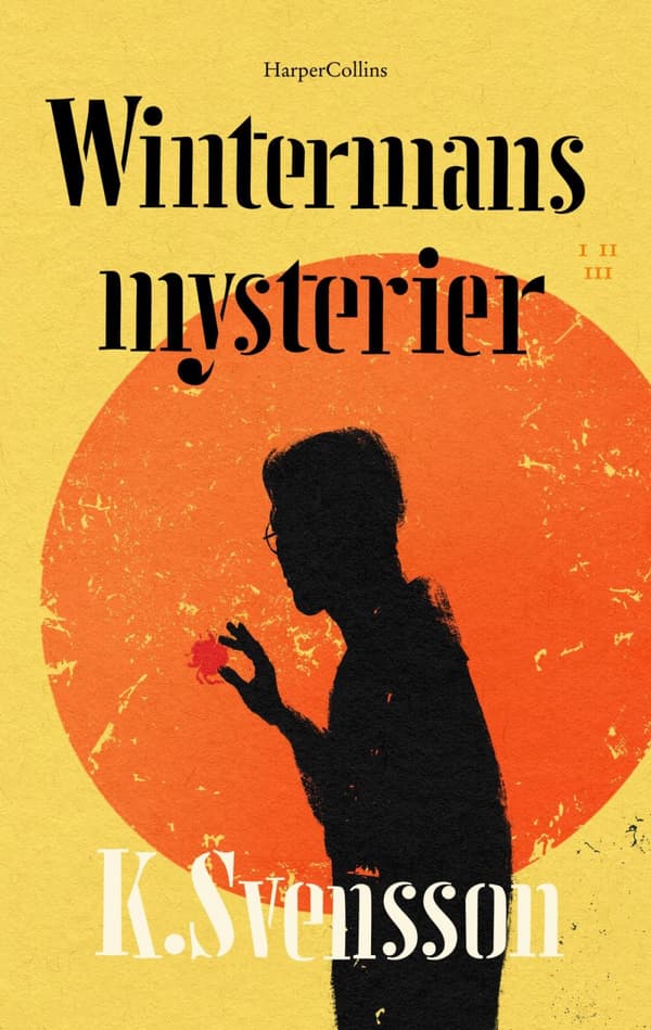 Wintermans Mysterier (Bok)