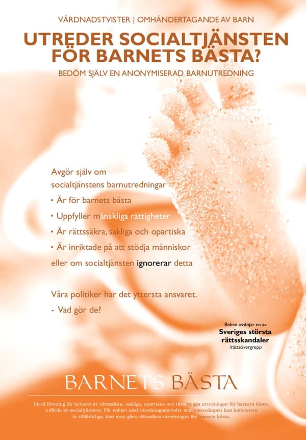 Utreder Socialtjänsten För Barnets Bästa? Bedöm Själv En Anonymiserad Utredning. (Bok)