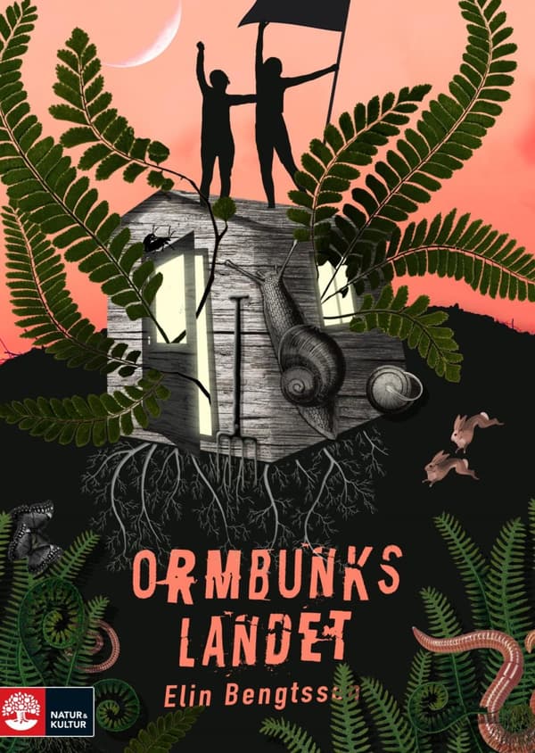 Ormbunkslandet (Bok)