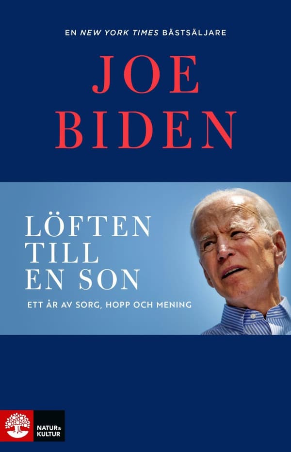 Löften Till En Son - Ett År Av Sorg, Hopp Och Mening (Bok)