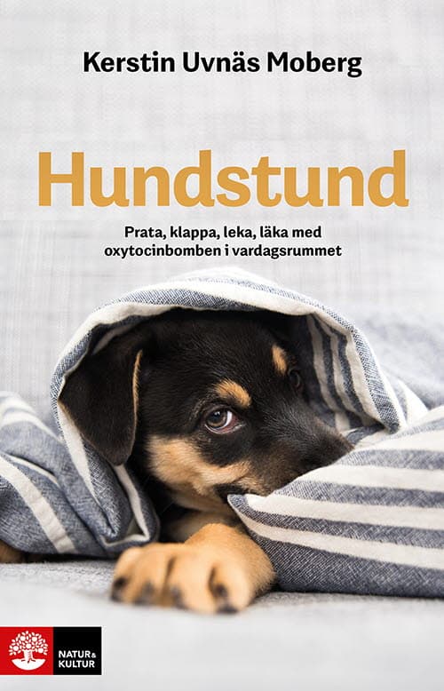 Hundstund - Prata, Klappa, Leka, Läka Med Oxytocinbomben I Vardagsrummet (Bok)