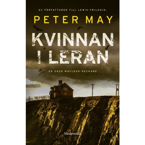 Kvinnan i leran (bok, storpocket)