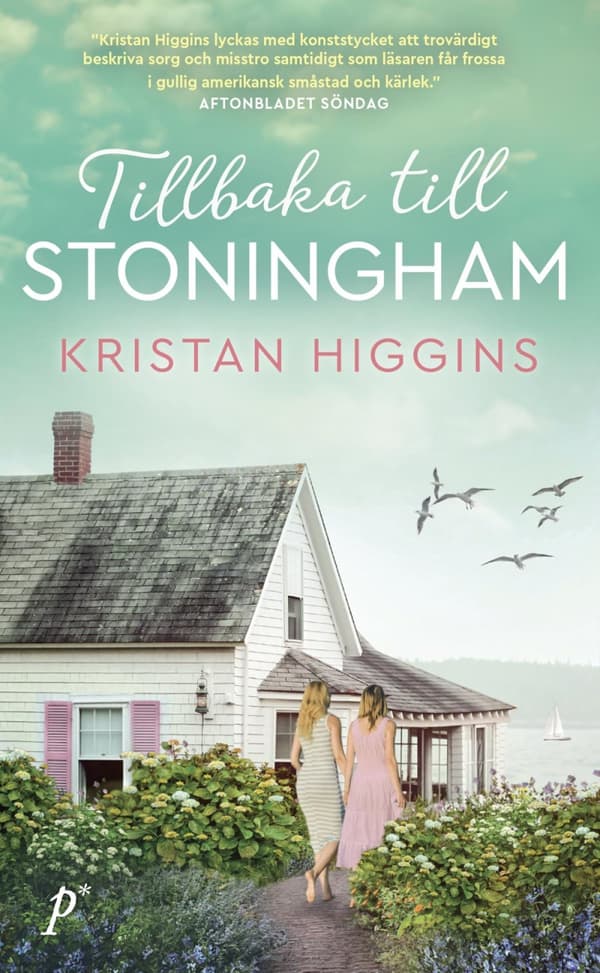 Tillbaka Till Stoningham (Bok)