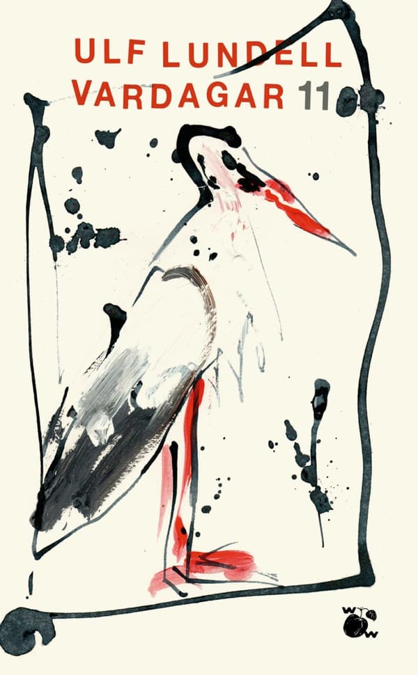 Vardagar 11 (Bok)