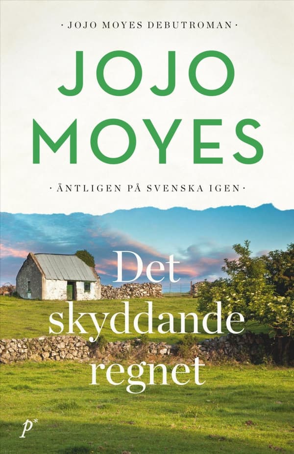 Det Skyddande Regnet (Bok)